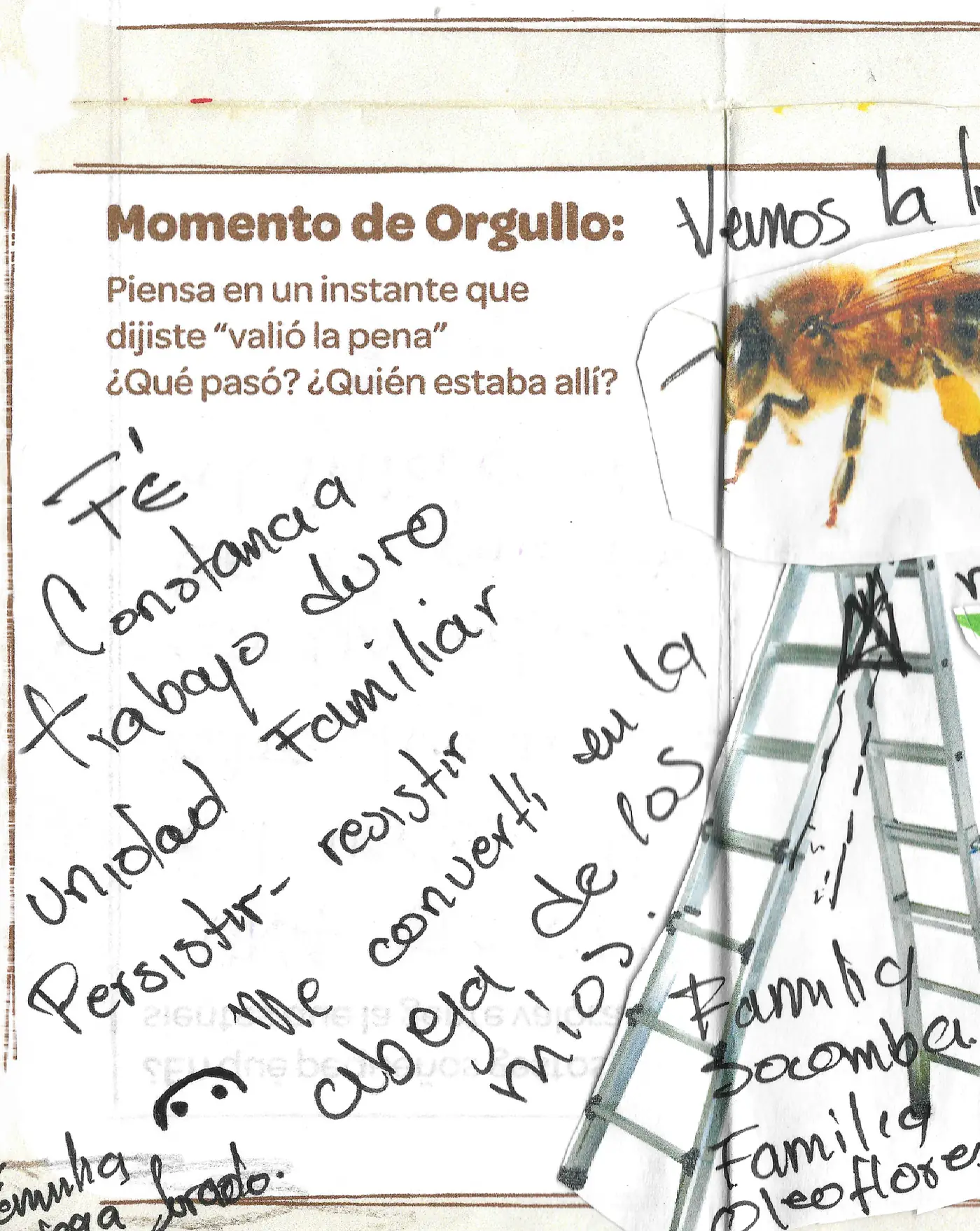Frame 15