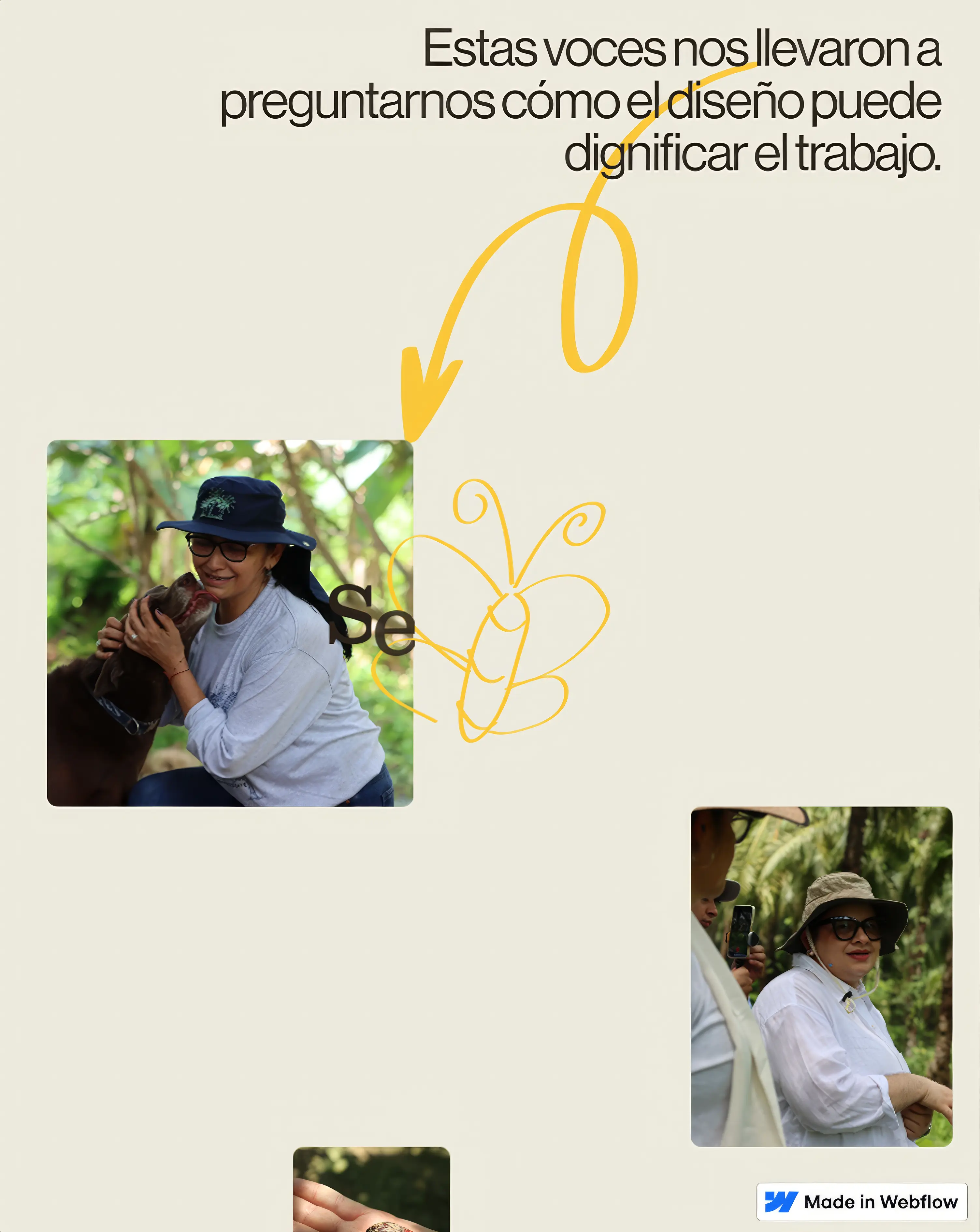 Sección testimonios